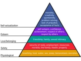 450px-Maslow's_Hierarchy_of_Needs.svg.webp