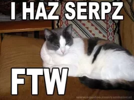 lolcat-serpz.webp