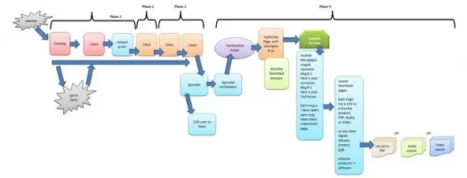 muse anatomy.webp