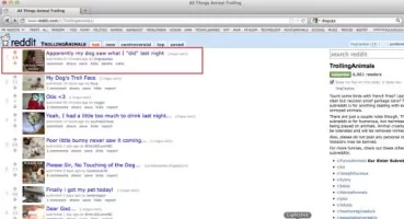 #1 on reddit:TrollingAnimals.webp