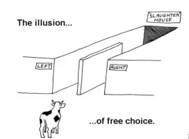 The-illusion-of-free-choice.webp