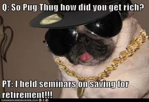 Pug Thuggin.webp