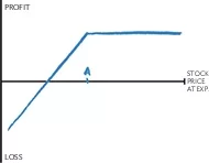 short_put_small.webp