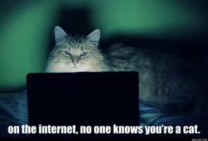 On_The_Internet_No_One_Knows_You_re_A_Cat.webp