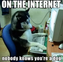 nobody-knows-youre-a-dog.webp