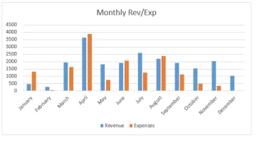 Revenue Expenses.webp