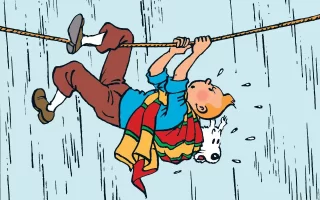 tintin3.webp