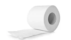 toilet paper.webp