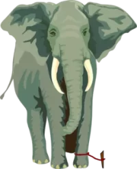 Elephant+rope[1].webp