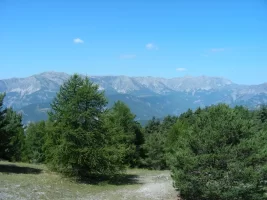 alpes (6).webp