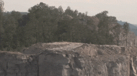 MeaslyThirstyAlabamamapturtle-small.gif