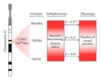 678648.fig.001.jpg