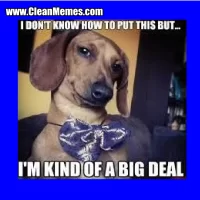 weiner dog big deal.webp