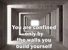 You-are-confined-only-by-the-walls-you-build-yourself.webp