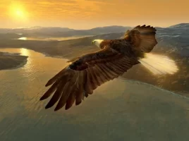 eagleflight.webp