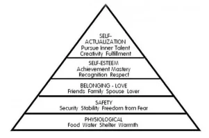 Hierarchy.webp