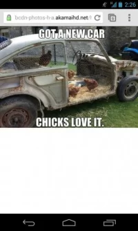 chicks and cars.webp