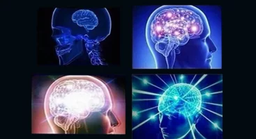 Brain-Meme.webp