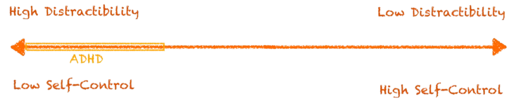 ADHD spectrum.webp