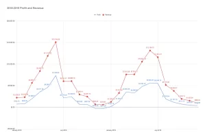 2018-2019 Profit-Revenue.webp