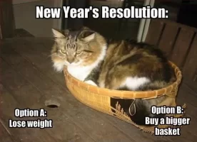 New-year-resolution-funny.webp