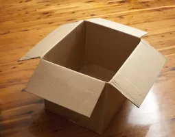 Cardboard_Boxes_and_their_History.webp