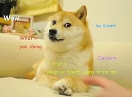 300px-Original_Doge_meme.webp