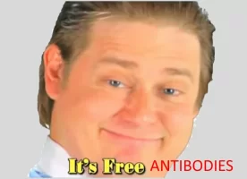 its free real anitbodie.webp