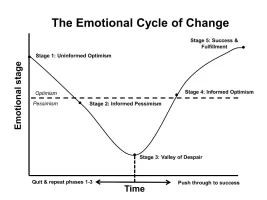 Emotional-cycle.webp