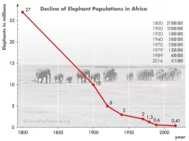 Decline_of_Elephant_Populations_in_Africa.webp