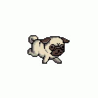 pug-run.gif