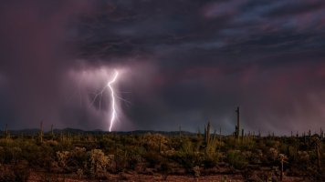 Desert of Desertion at Night.jpg