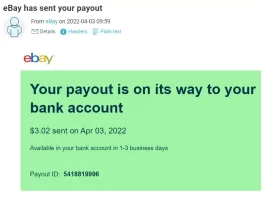 Payout.webp