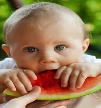 Eating Watermelon.webp