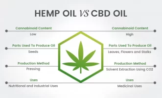 cbdhemp-696x421-1.webp