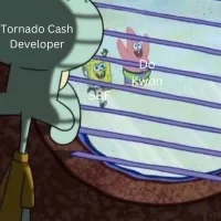 Tornado Cash Developer.webp