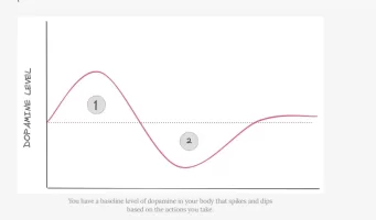 dopamine level.webp