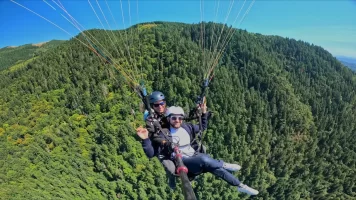 paragliding pfp_1.5.1.webp