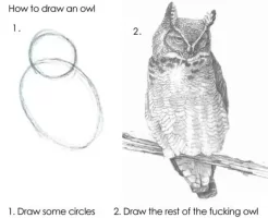 owl.webp