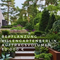 Villengarten bepflanzung 2.webp