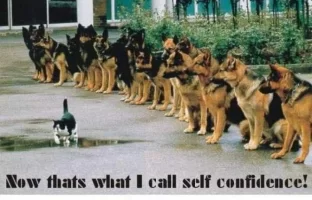 Self-Confidence[1].webp