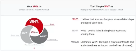 1. My WHY Overview.webp