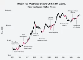 ARK-Invest_Blog_Bitcoin_Risk_Off_Chart8 (1).png