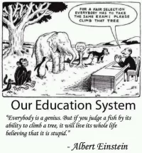 Our_education_system.webp