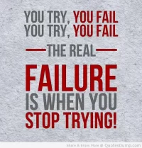 you-try-you-fail-you-try-you-fail-the-real-failure-is-when-you-stop-trying.webp