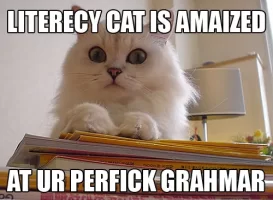 literacy-cat.webp