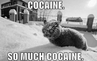 cocaine.webp