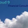 C9Consulting