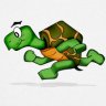 TurtleSprint