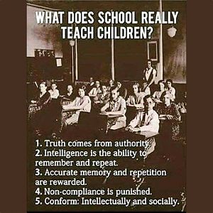 What does school really teach children?